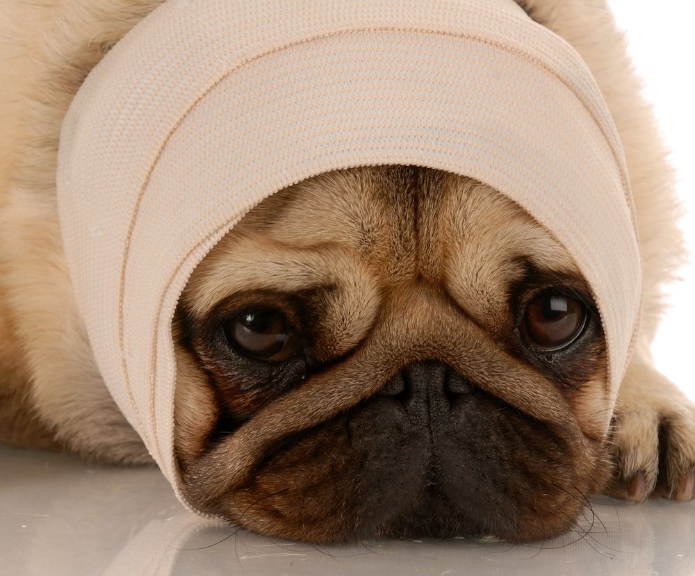 Editorial: March 5, 2021